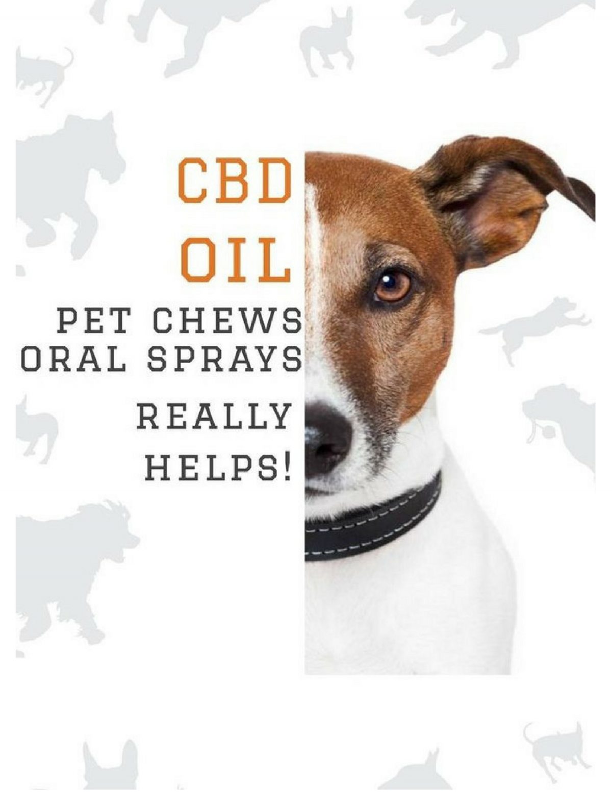 CBD Dog Treats CBD Oil Store