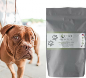 Wyld CBD Real Fruit Pear CBD + CBG Vegan Gummies Stok'd Cannabis